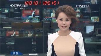 央视女主播穿肉色