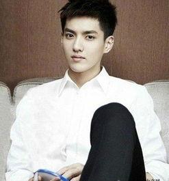 吴亦凡个人资料个人资料,音乐才子、影视新星，多面才华的青春偶像